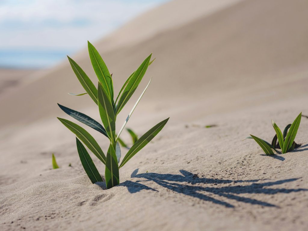 new life or hope concept